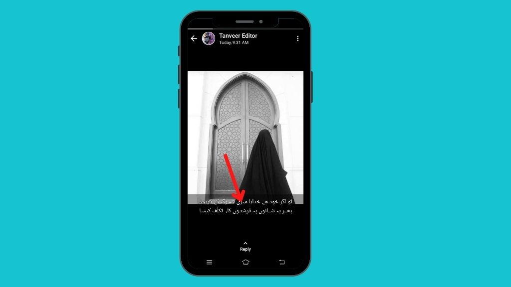 View Whatsapp status secretly offline